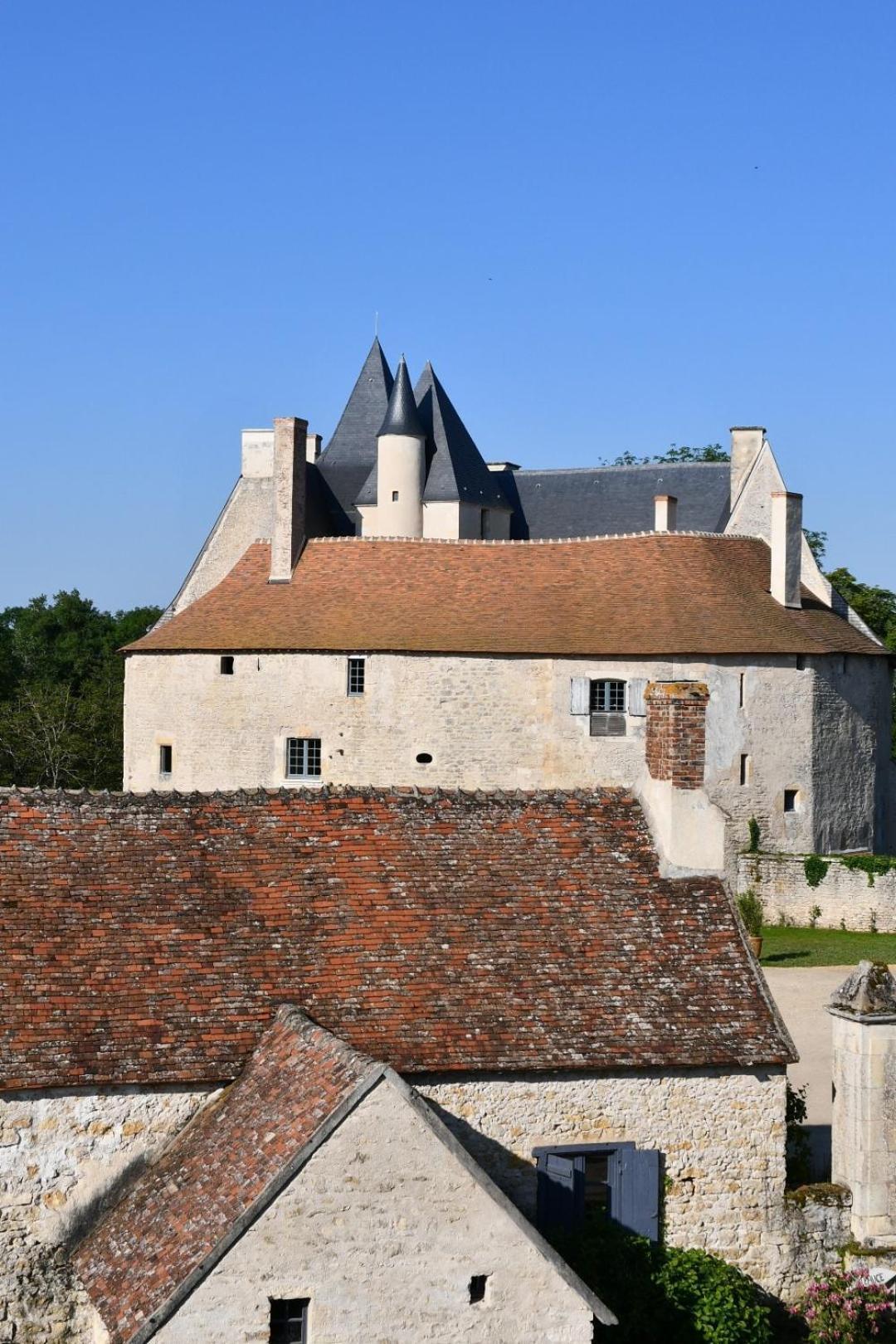 Chateau De Meauce, Gite Du Vigneron Saincaize-Meauce Eksteriør bilde